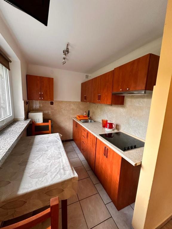 Noclegi Fikusówka Apartment in Czechia