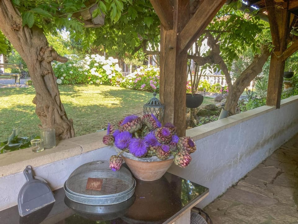 Summer, Garden