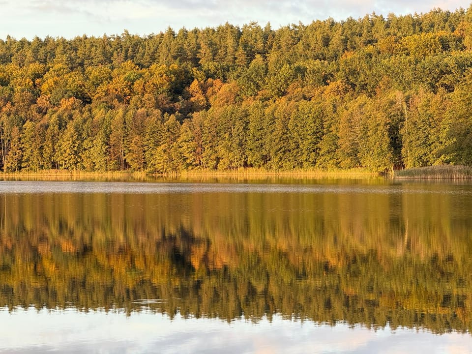 Lake view
