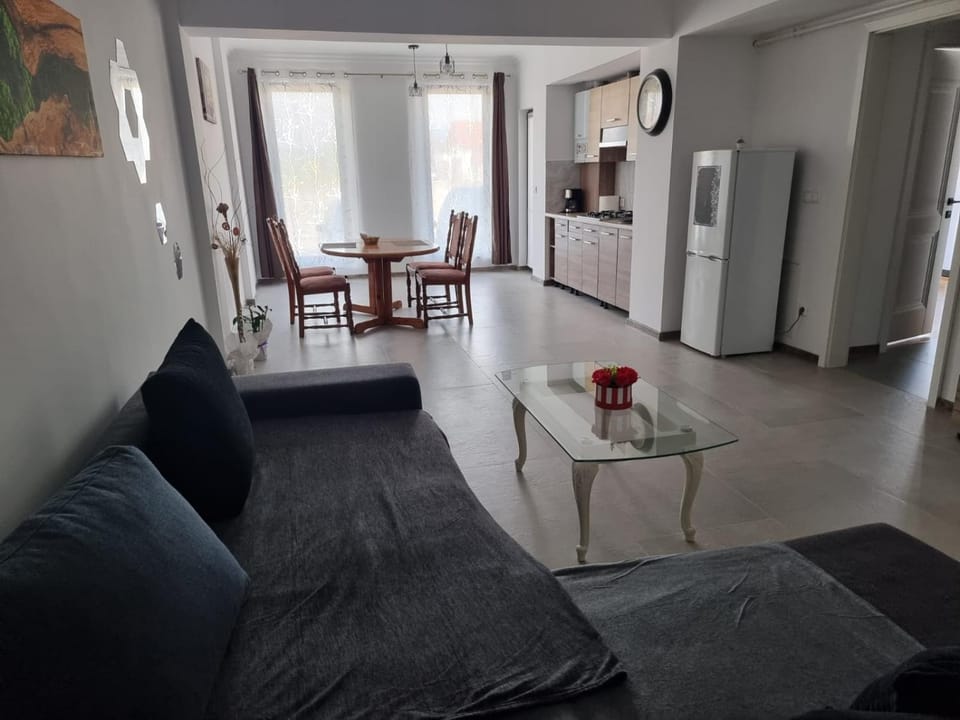 Mary Studio Apartment in Romania