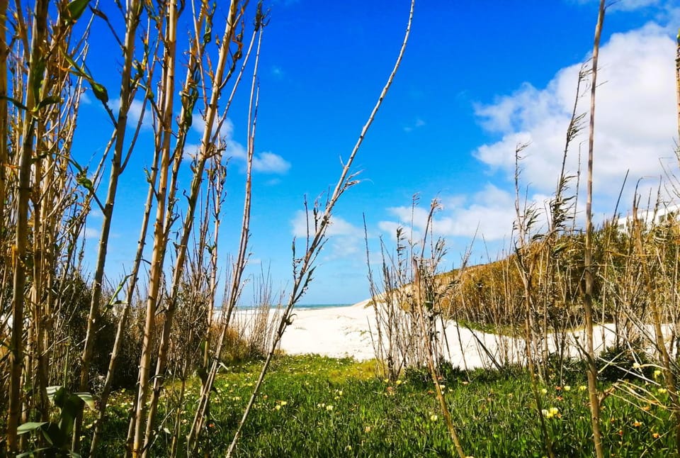 Natural landscape
