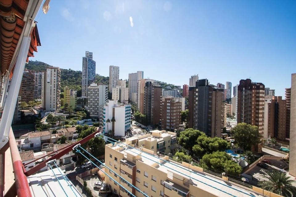 City view, Street view