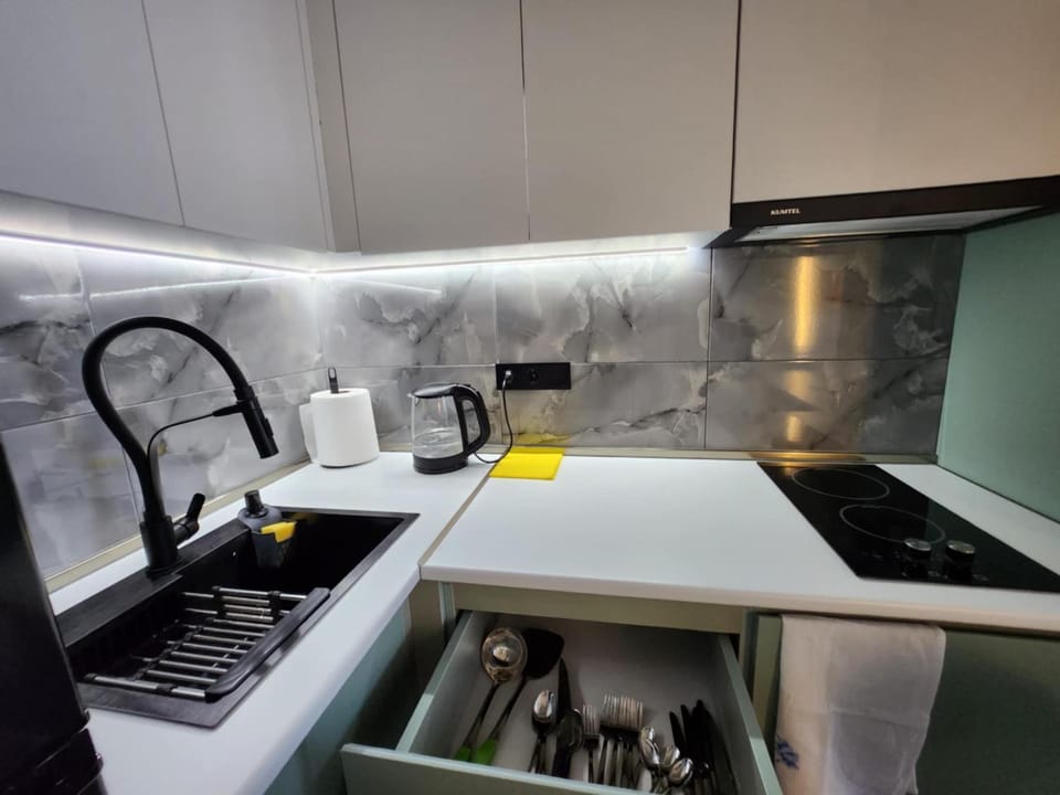 mcvane Apartment in Tbilisi, Georgia