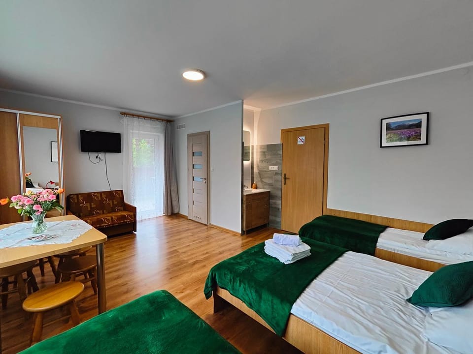 Bed, TV and multimedia, Bedroom, towels, wardrobe