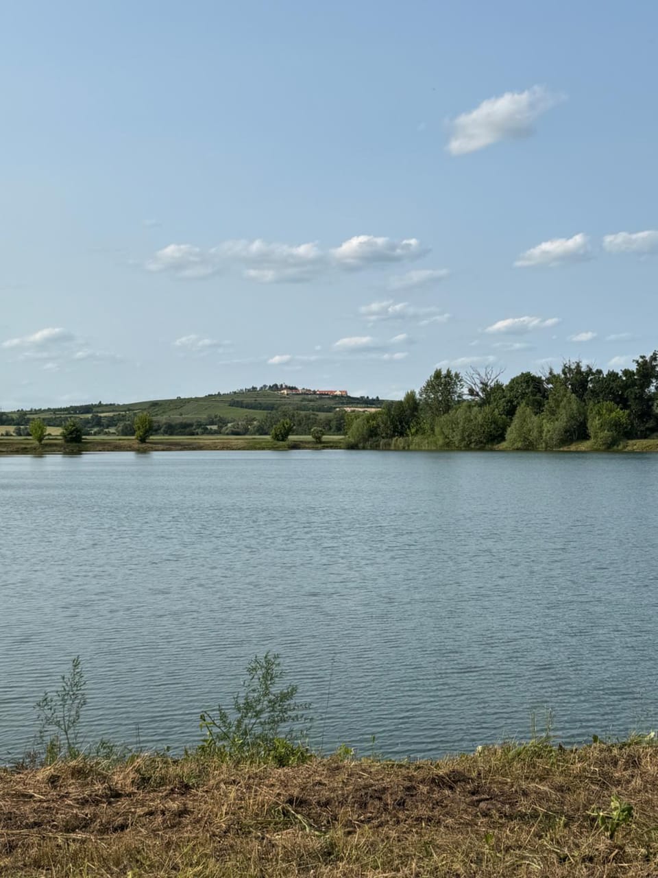 Natural landscape