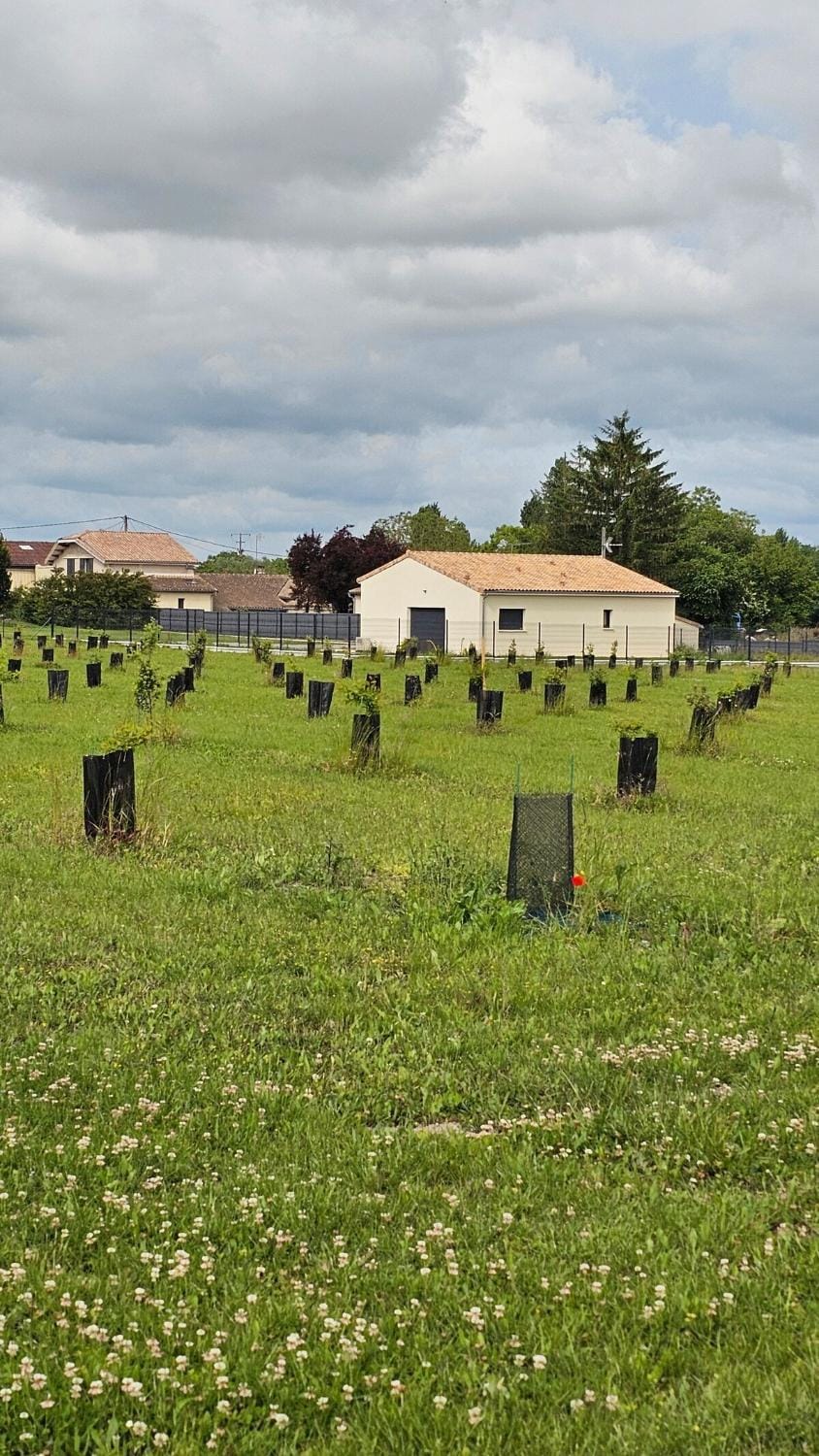 ꕥ Maison Tuber, Havre de paix proche de Jonzac House in Nouvelle-Aquitaine