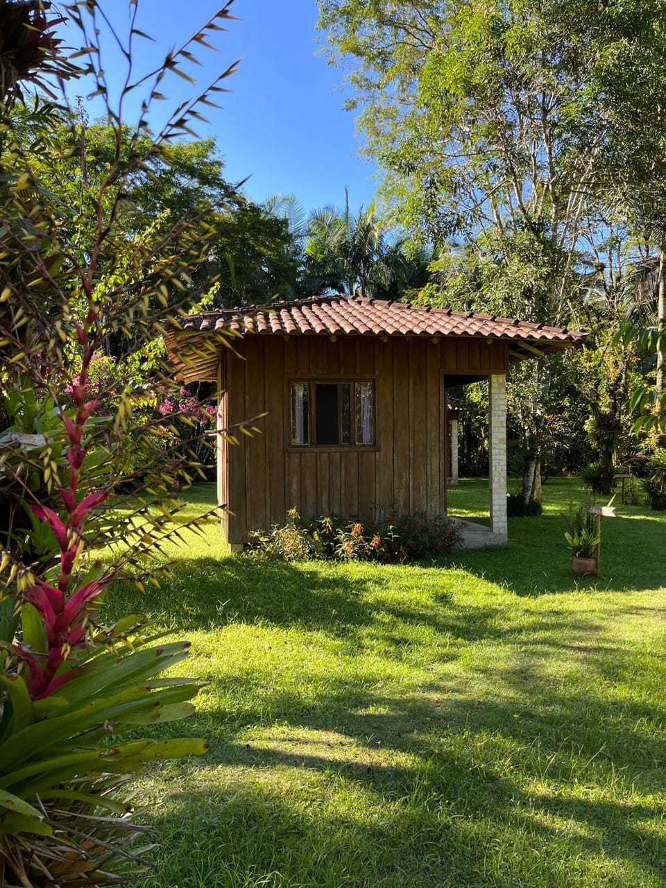 Day, Natural landscape, Garden