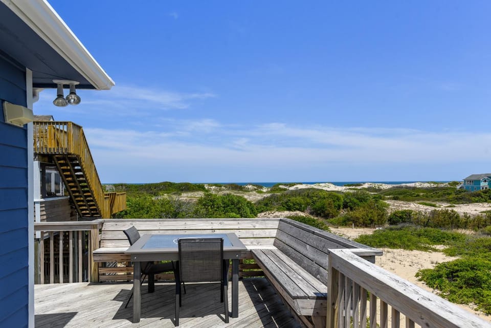Lion on the Beach House in Corolla