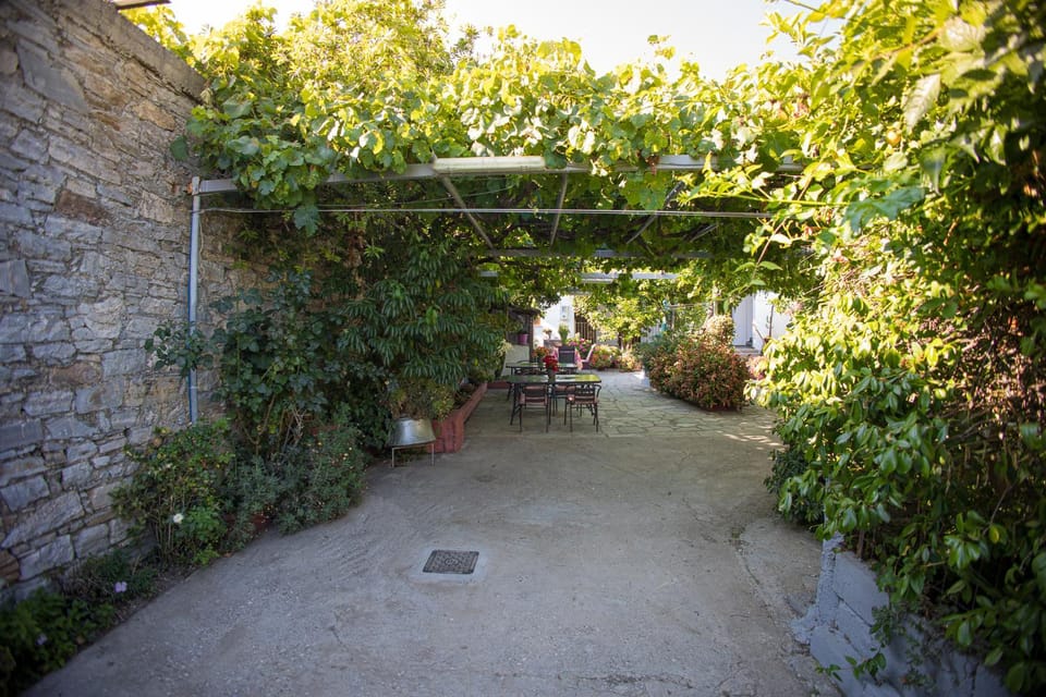 Garden, Garden view