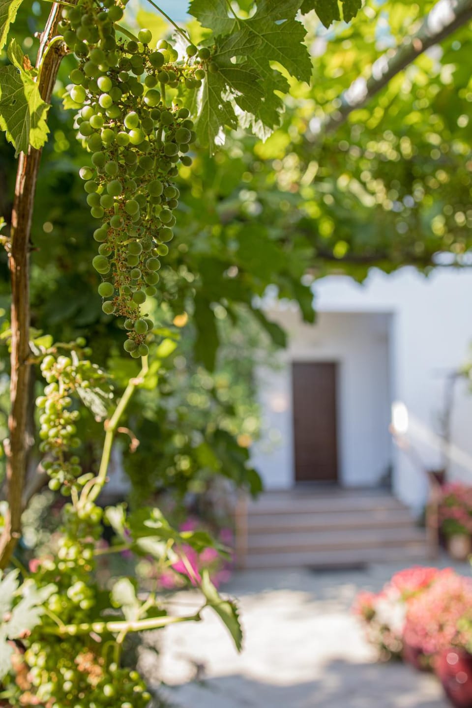 Gatzea Eden Garden - DELUXE Δίκλινο δωμάτιο Bed and Breakfast in Magnesia Prefecture, Greece
