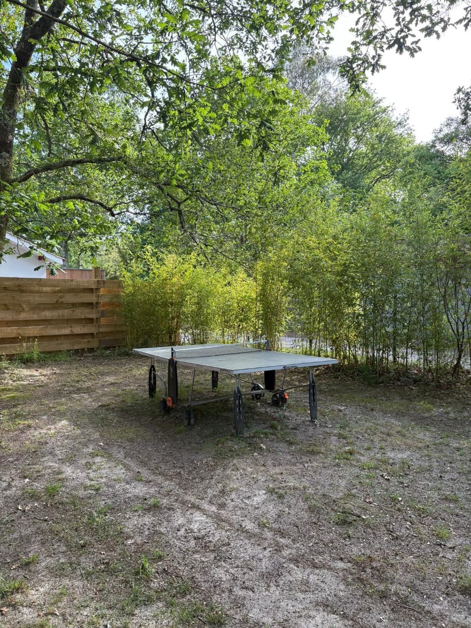 Garden, Table tennis