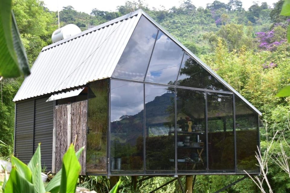 Property building, Natural landscape, Garden view