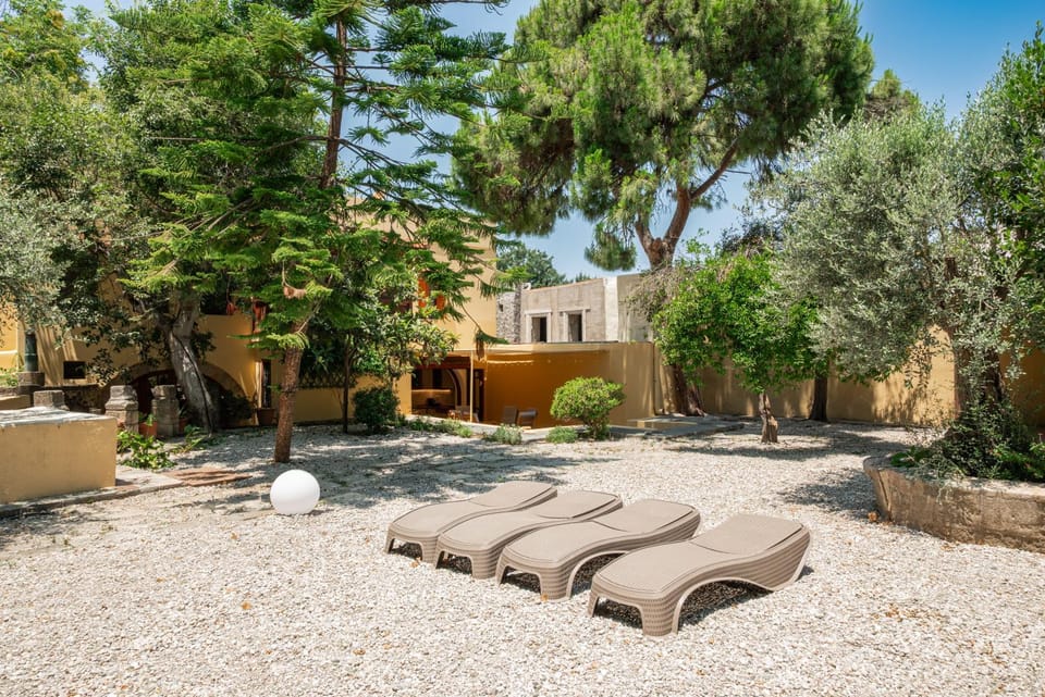 Day, Garden, Garden view, sunbed