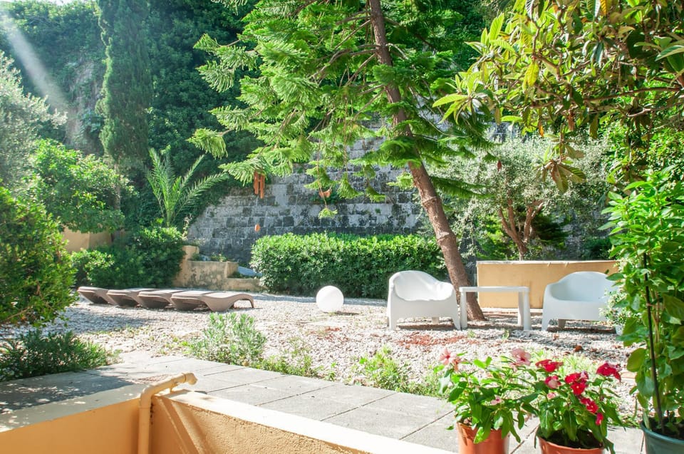 Day, Garden, Garden view