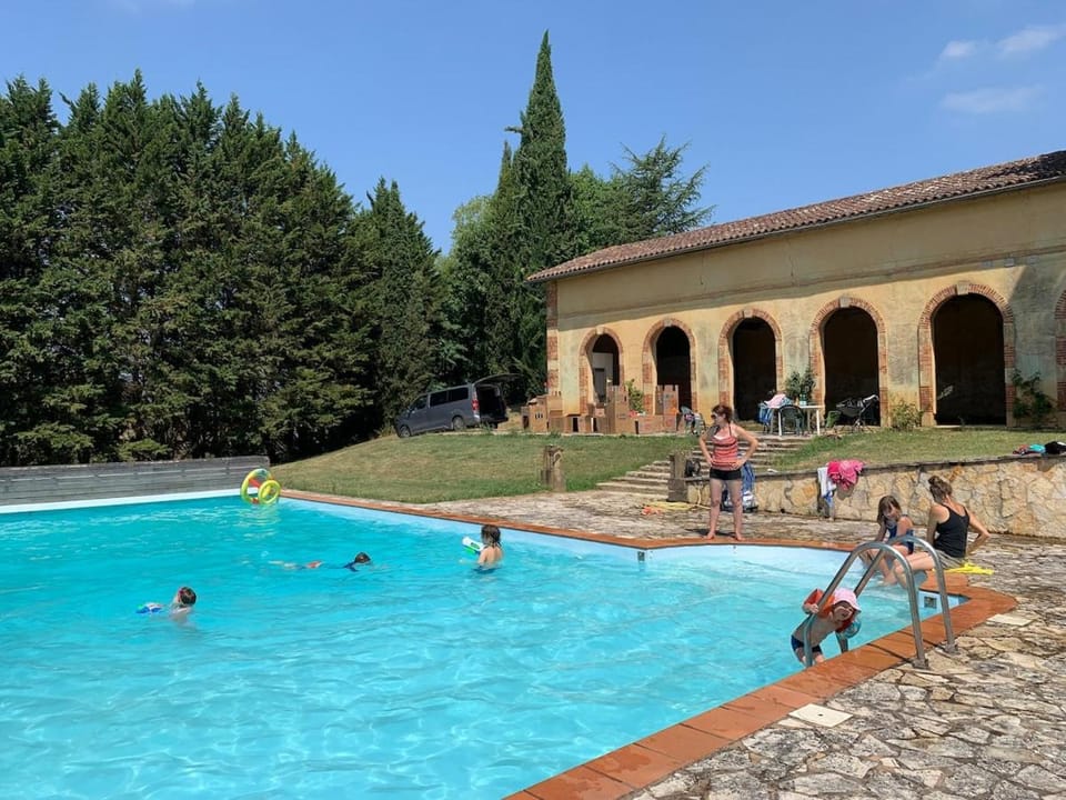People, Swimming pool, Swimming pool, children, group of guests