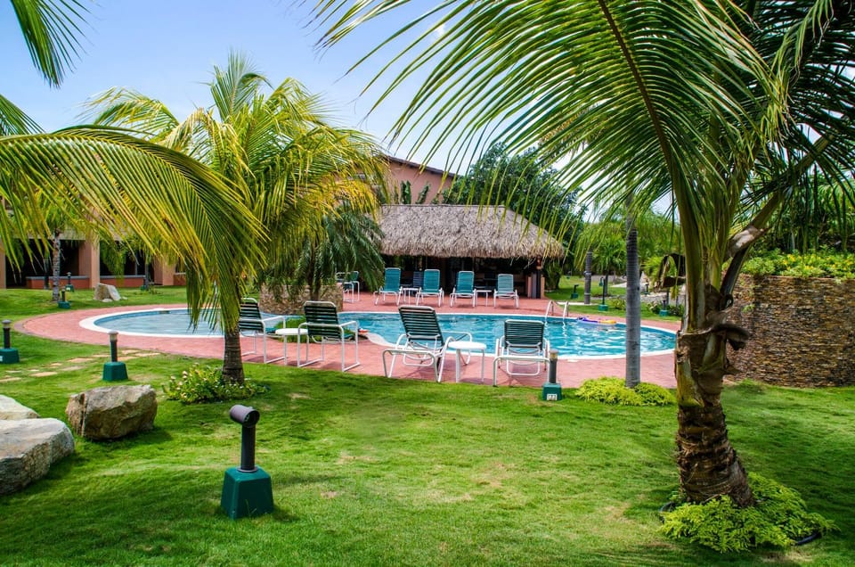 Garden, Garden, Swimming pool