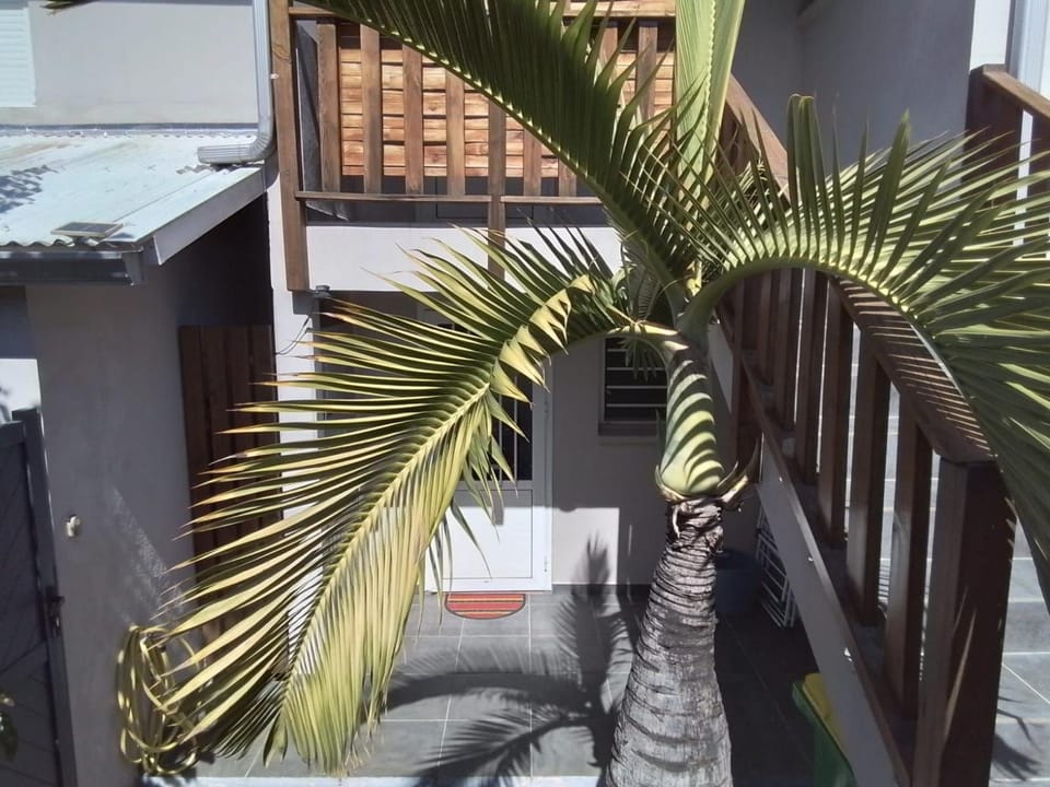 Appartement confortable avec terrasse et accès direct piscine - FR-1-786-49 House in Réunion
