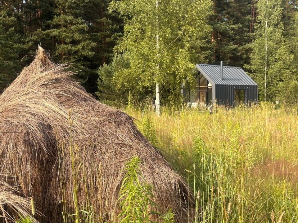 Dole Nature loft House in Riga