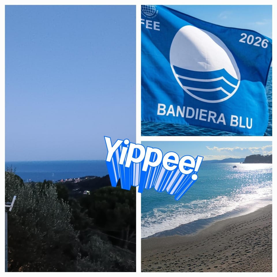 Beach, Sea view, Certificate/Award