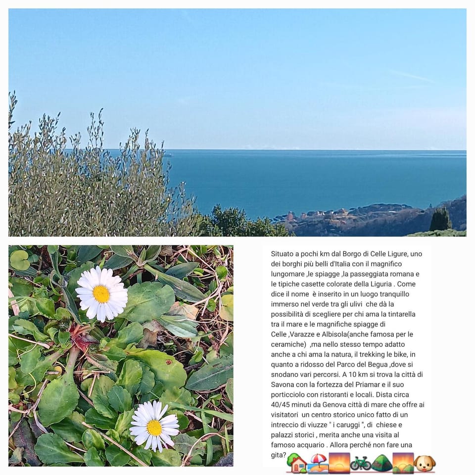 Spring, Natural landscape