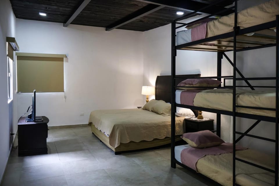 Bed, Photo of the whole room, Bedroom, bunk bed