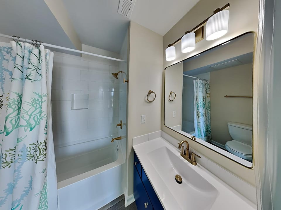 Shower, Toilet, Bathroom, Bath