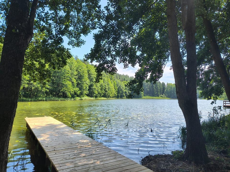 Natural landscape, Garden, Lake view