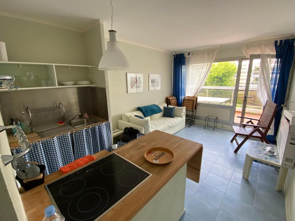 Le lys d'or Piscine Plage Terrasse Wiffi Apartment in Antibes