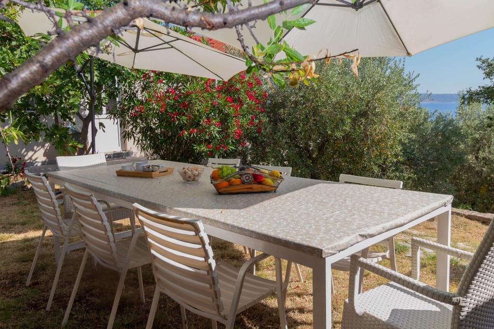 Natural landscape, Garden, View (from property/room)