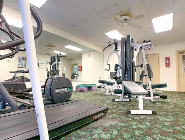 The Trails B210 I Spacious 1 Bed 1 Bath Apartment in Gainesville