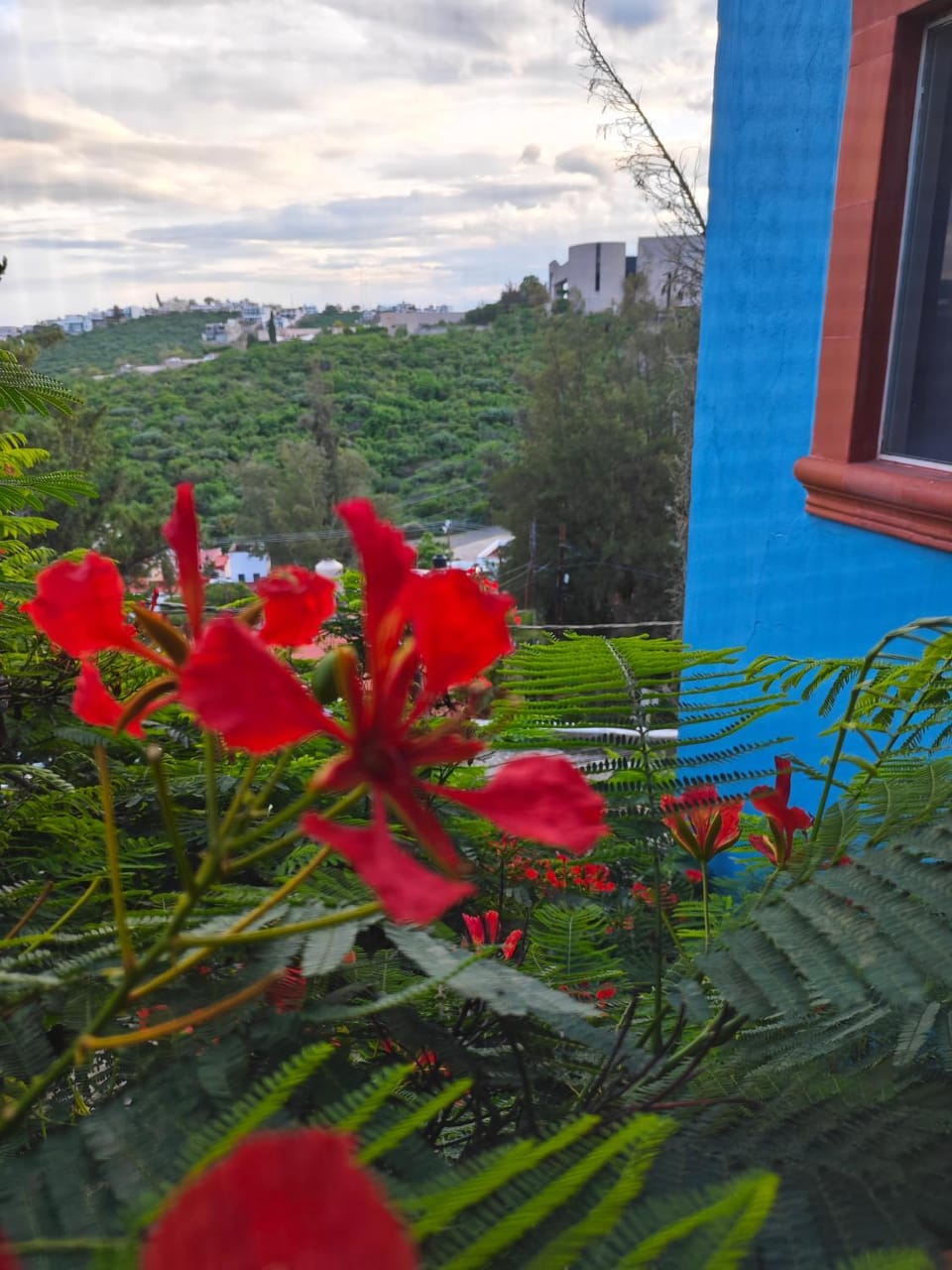 Hospedaje Noria Alta - Tu lugar de descanso Apartment in Guanajuato
