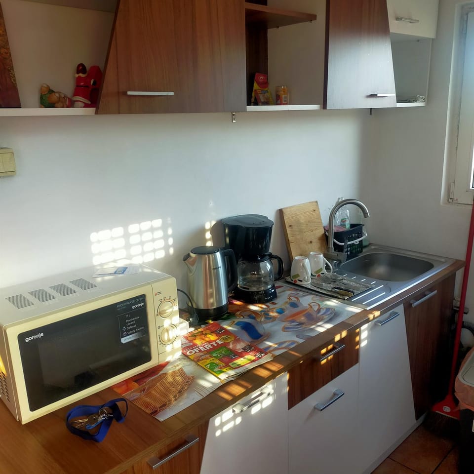 ELENA camere de închiriat Bed and Breakfast in Bucharest