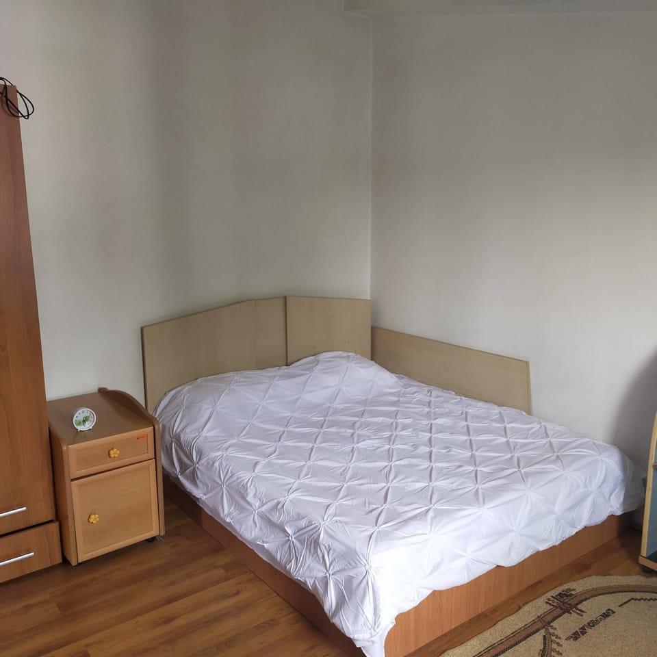 ELENA camere de închiriat Bed and Breakfast in Bucharest