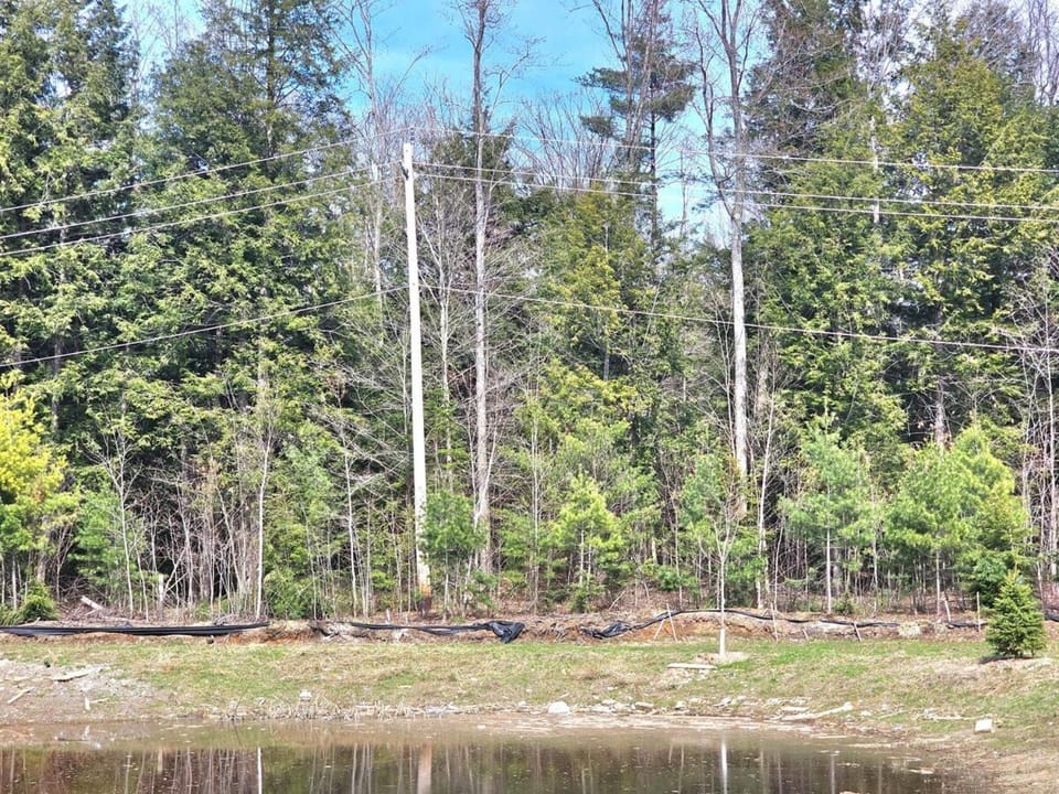 Muskoka Luxury Charming Cottage 4BR 3 Bath Villa in Gravenhurst