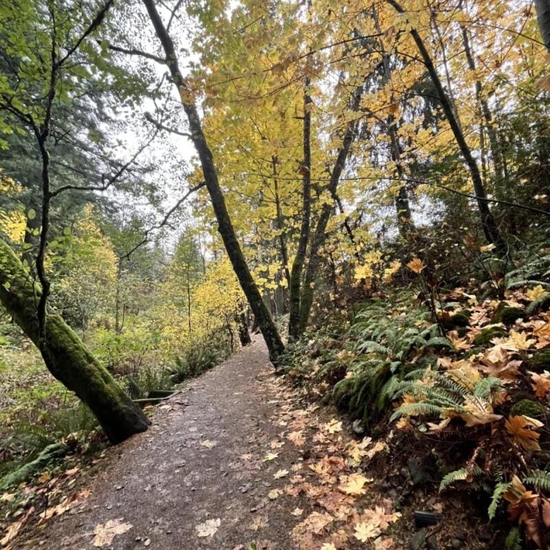 The Owls Nest at Westwood Lake Apartment in Nanaimo