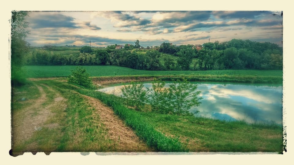 On site, Lake view