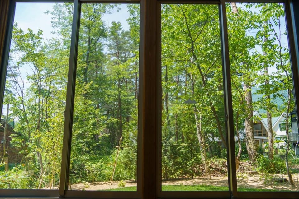 Day, Garden view