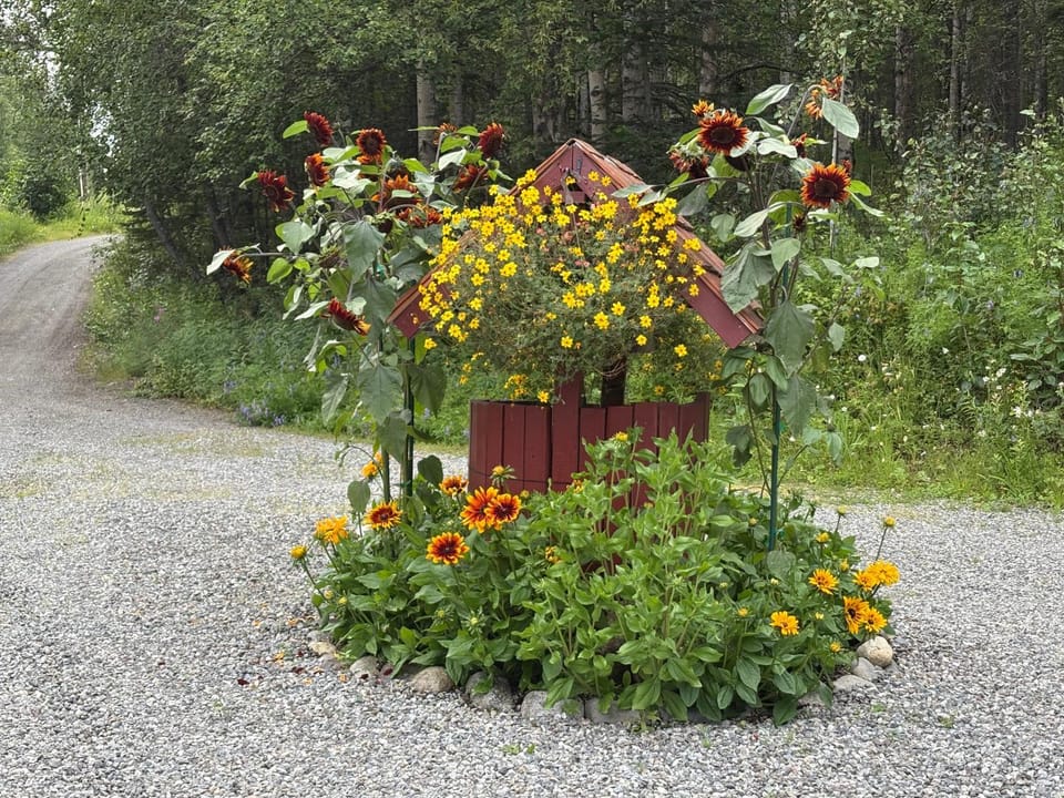 Northern Nights Lodging Chalet in Alaska