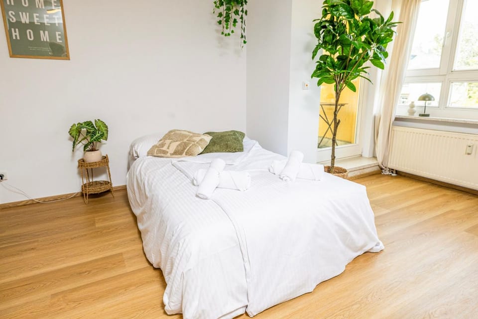 StayTime - Olive Nest Apartment in Dresden