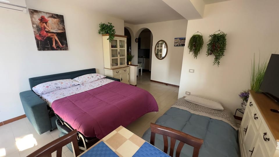 Bed, TV and multimedia, Seating area