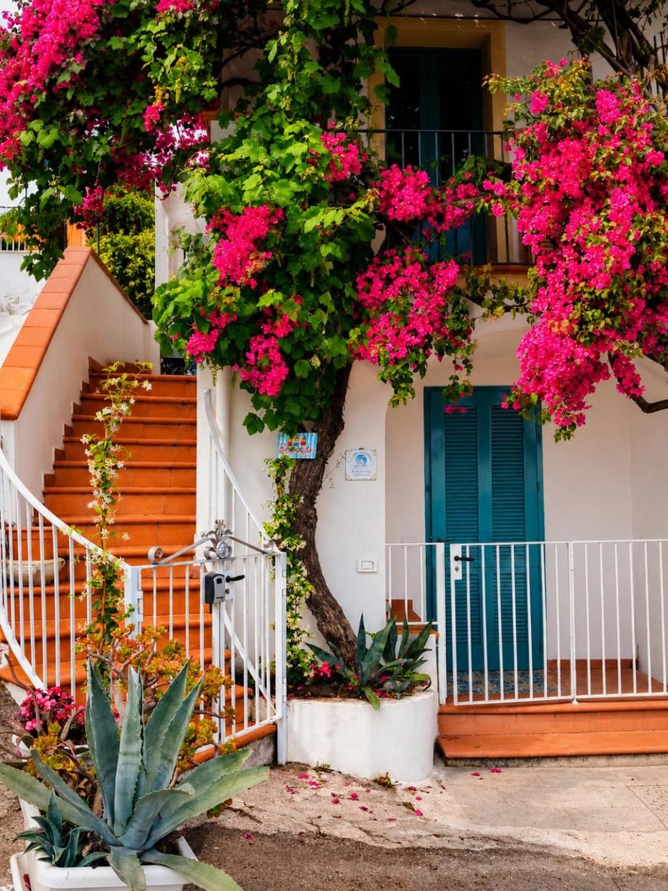 La Perla del Porto di Maratea House Bed and Breakfast in Maratea