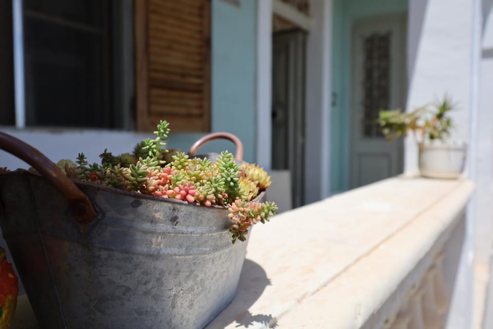 Traditional Maltese Townhouse with Backyard Garden and Seafront Location House in Marsaskala
