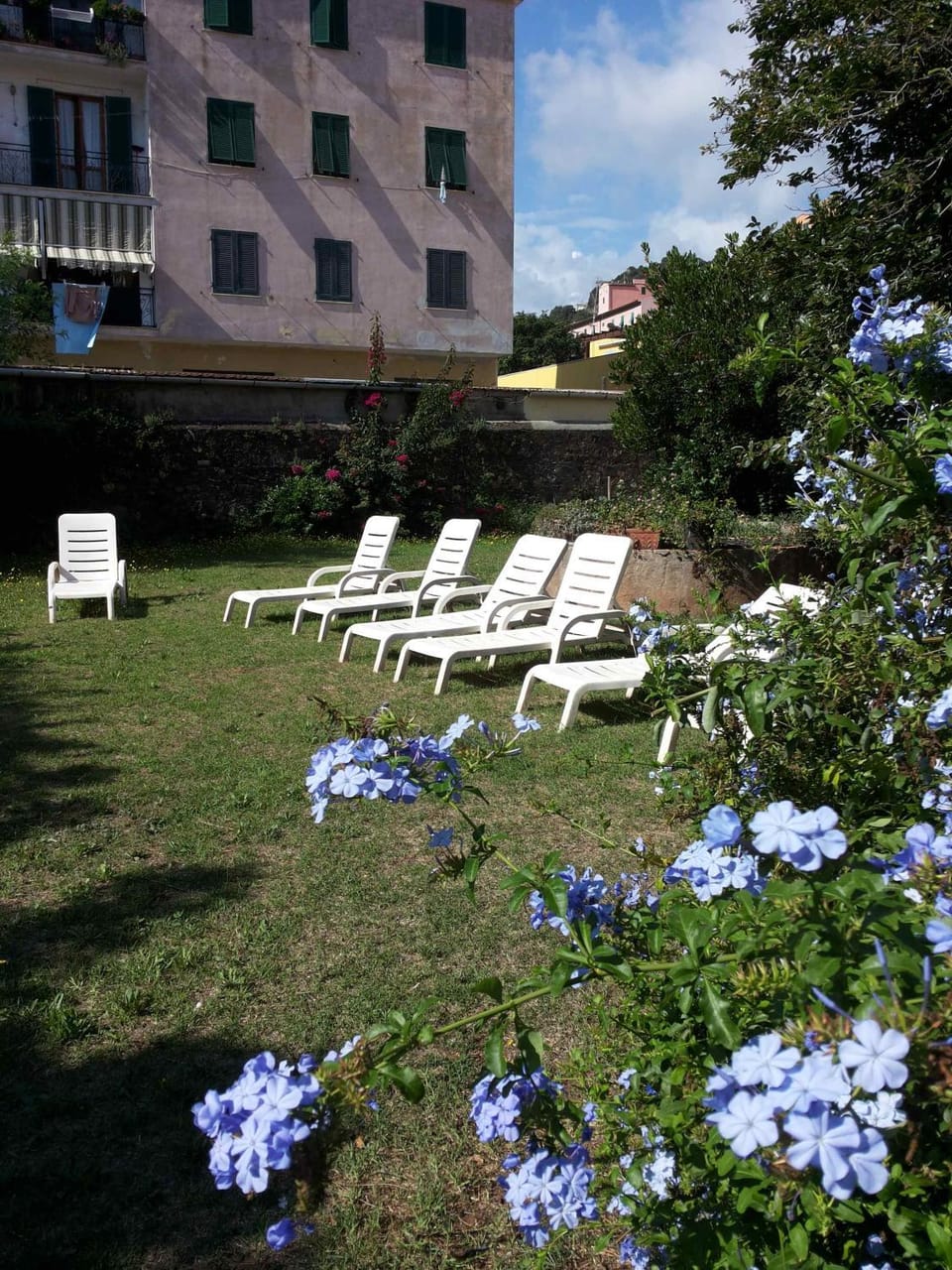 Day, Garden