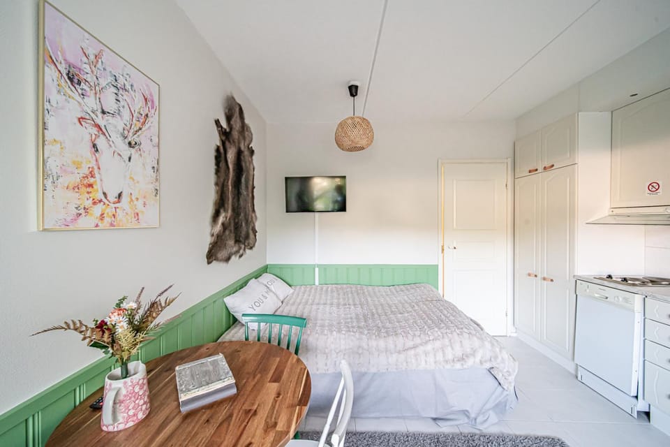 Bed, Living room, Photo of the whole room, Seating area, Bedroom