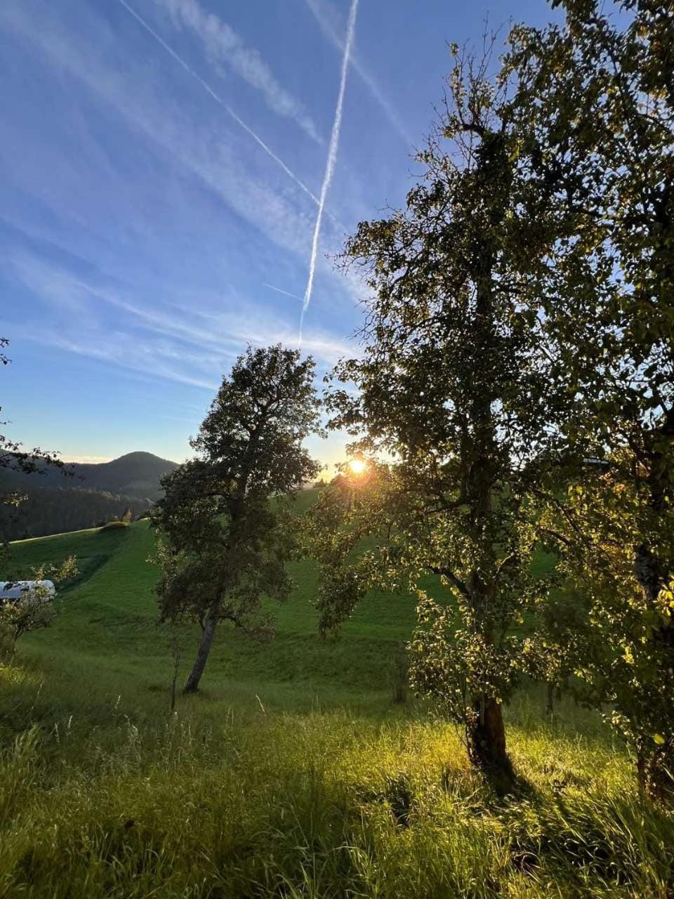 Spring, Natural landscape, Other, Mountain view