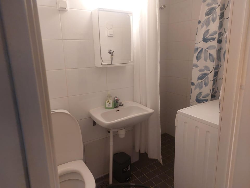 Toilet, Bathroom, washing machine