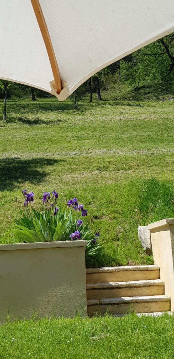 Garden, Garden view