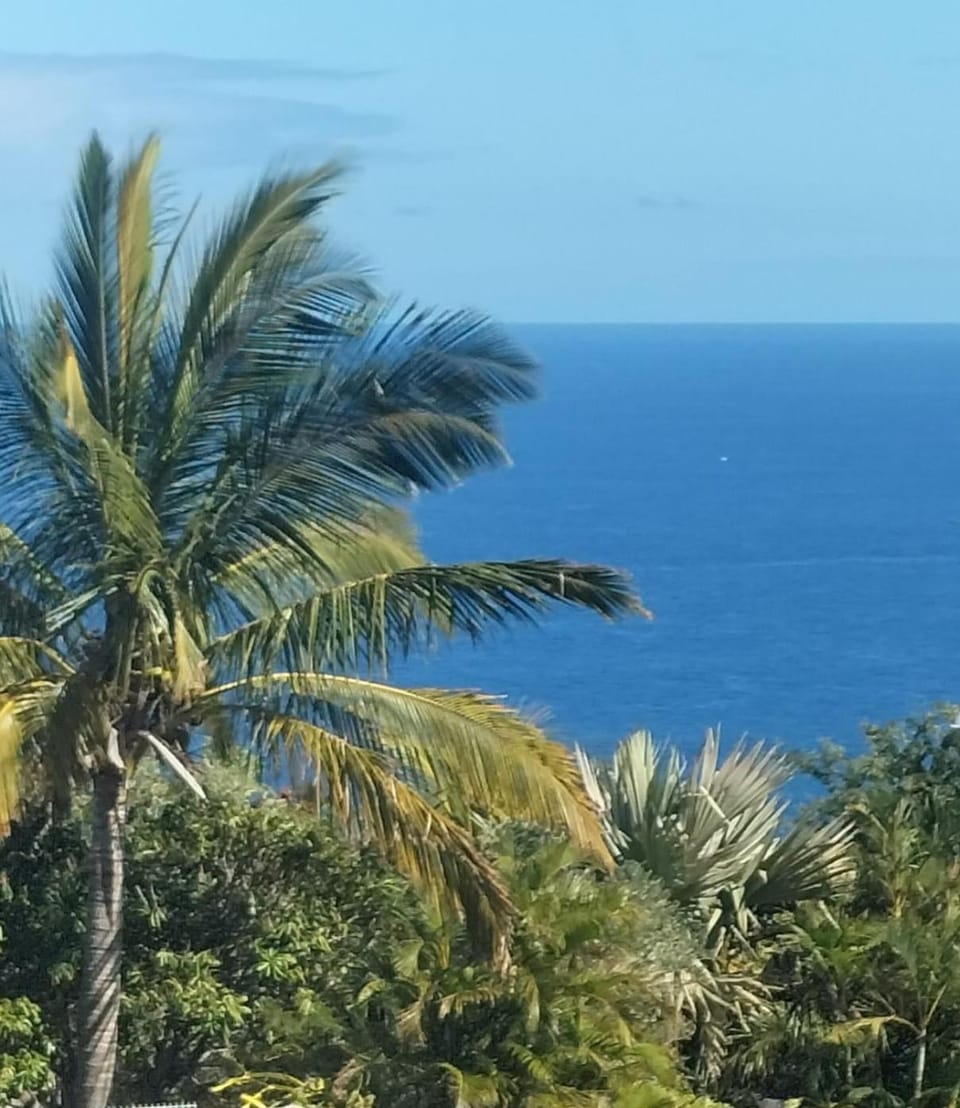 Ylang Ylang Vacation rental in Saint-Leu