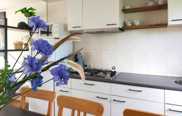 Kitchen or kitchenette, pet friendly, stove