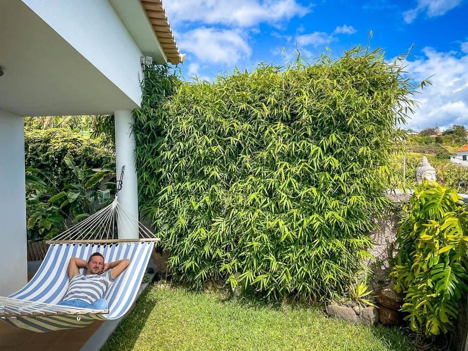 Garden, Garden view, sunbed